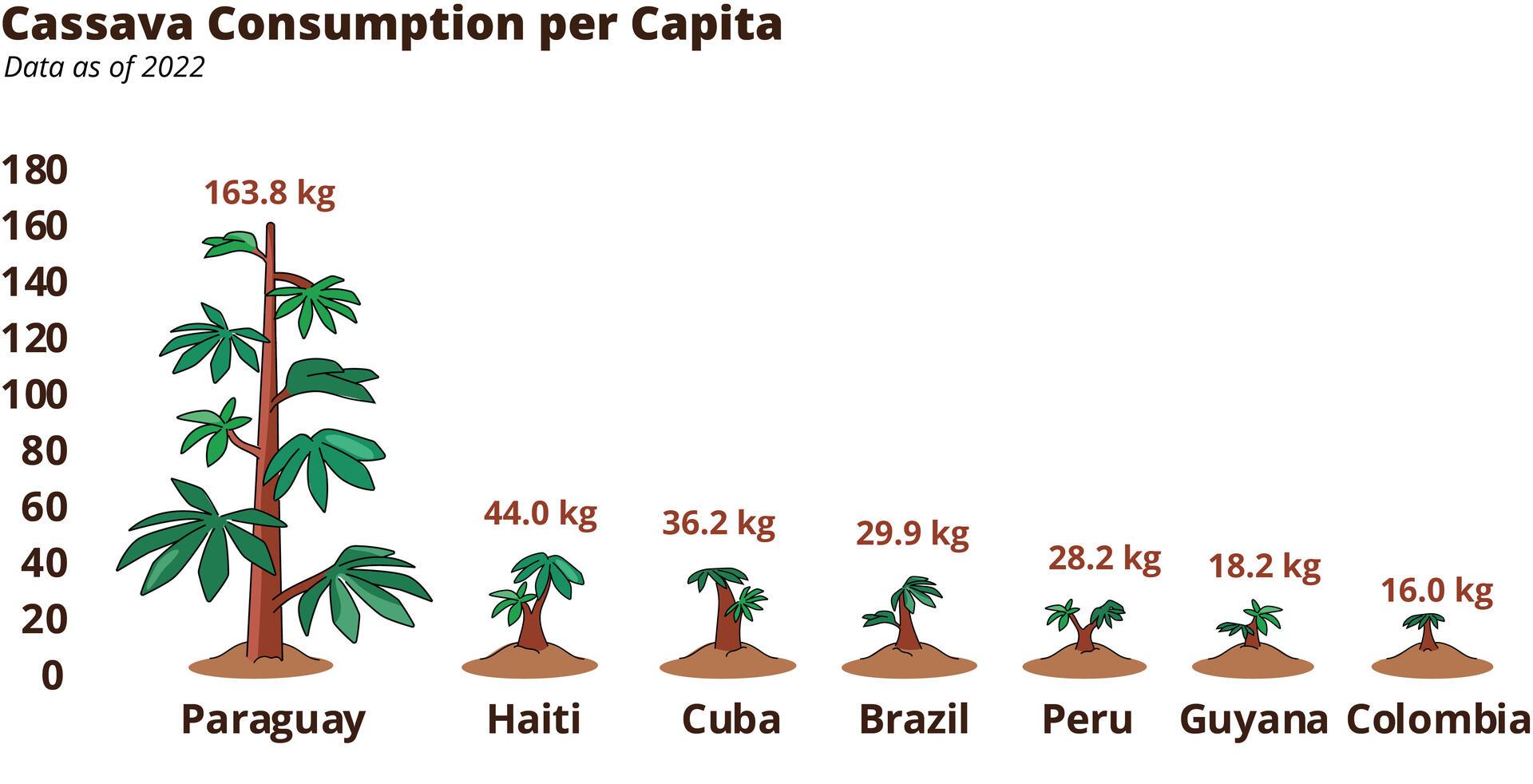 Cassava Witches&rsquo; Broom Disease takes flight in South America - Cassava consumption - LAC