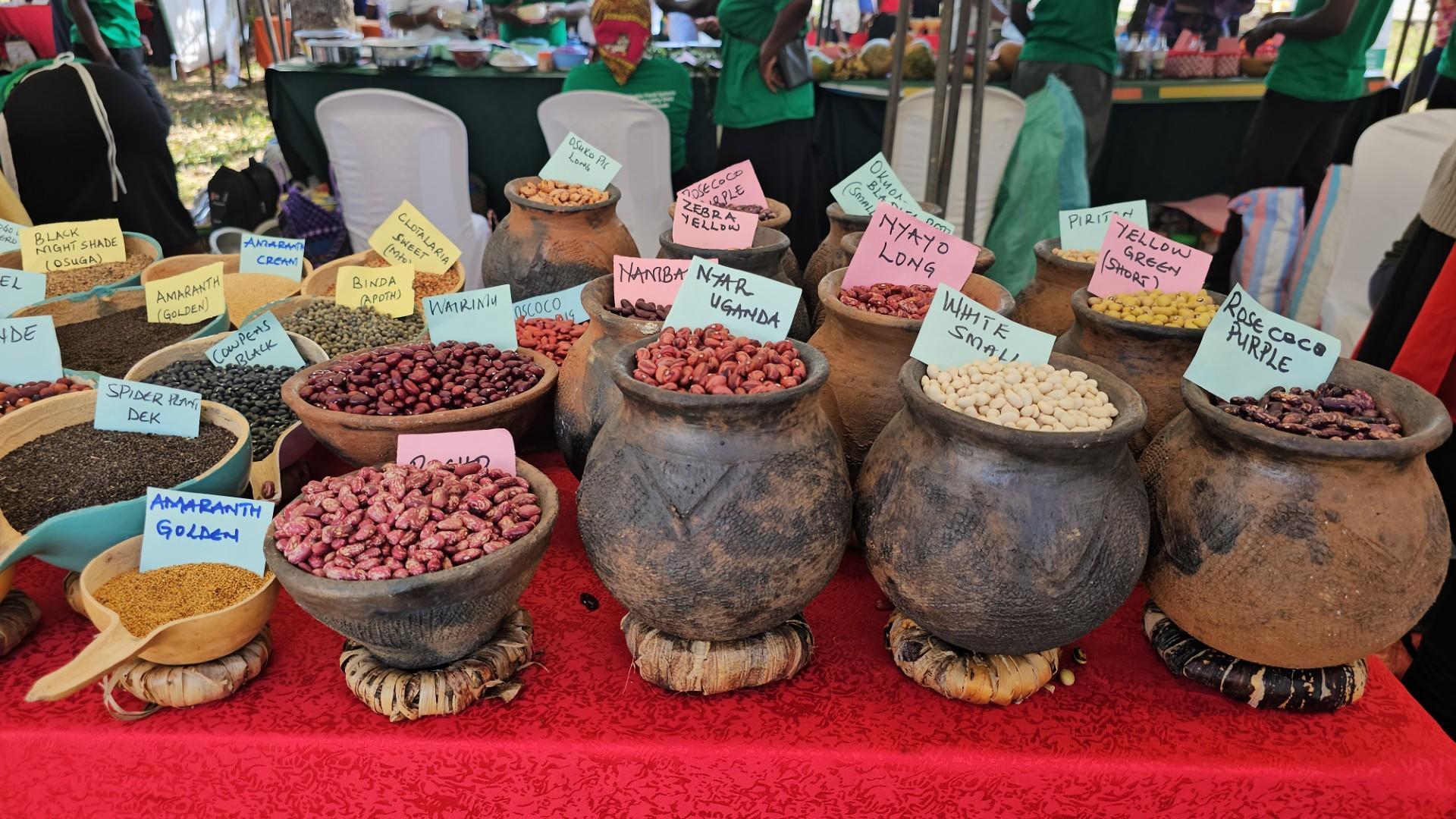 Celebrating Our Seeds, Food, and Culture Nyando Community Seed bank hosts the 3rd National Indigenous Seed and Food Fair in Kenya - Image 1