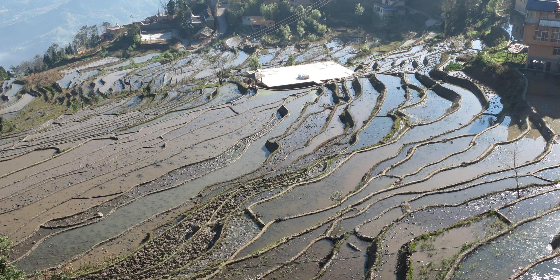 China - Alliance Bioversity International - CIAT - Image 1