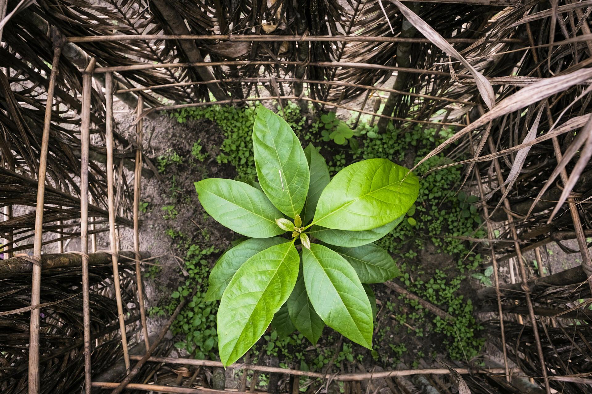 Climate risk to opportunity in East Africa - Scaling food system investment for nature and social impact - Image 1