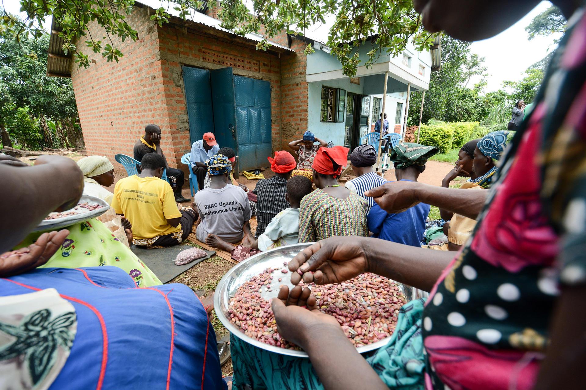 Climate Security and Migration - Alliance Bioversity International - CIAT - Image 2