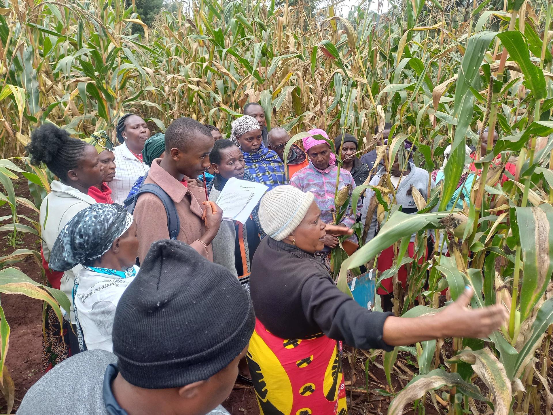 Co-design and learning around diversification for resilient agrifood systems in Kenya - Alliance Bioversity International & CIAT