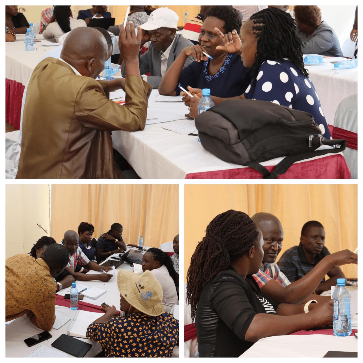 Co-Producing Climate and Agricultural Advisories for Farmer-Centered Resilience in Homa Bay - Image 2