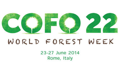 Explore the importance of the world's forests in Rome, Italy