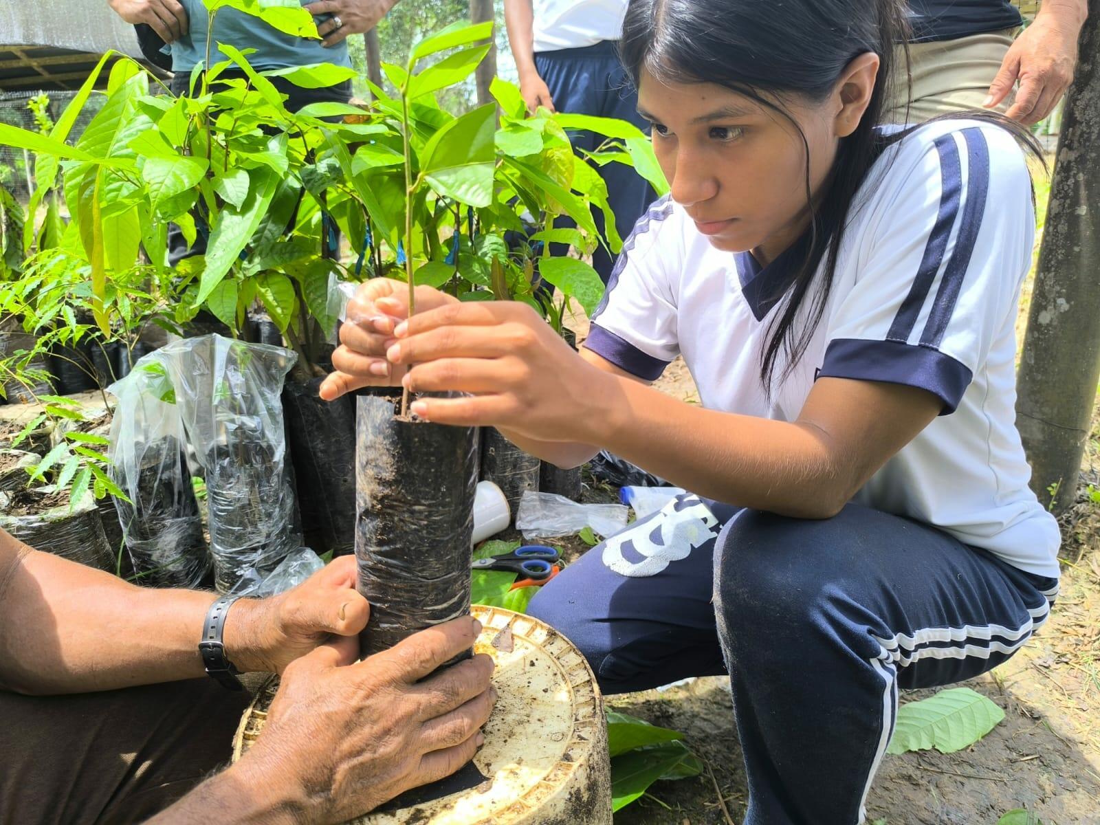 Comit&eacute; de la Cadena del Cacao del Caquet&aacute; - Una historia de crecimiento e incidencia tejida durante nueve a&ntilde;os en los bosques de la Amazon&iacute;a colombiana - 10