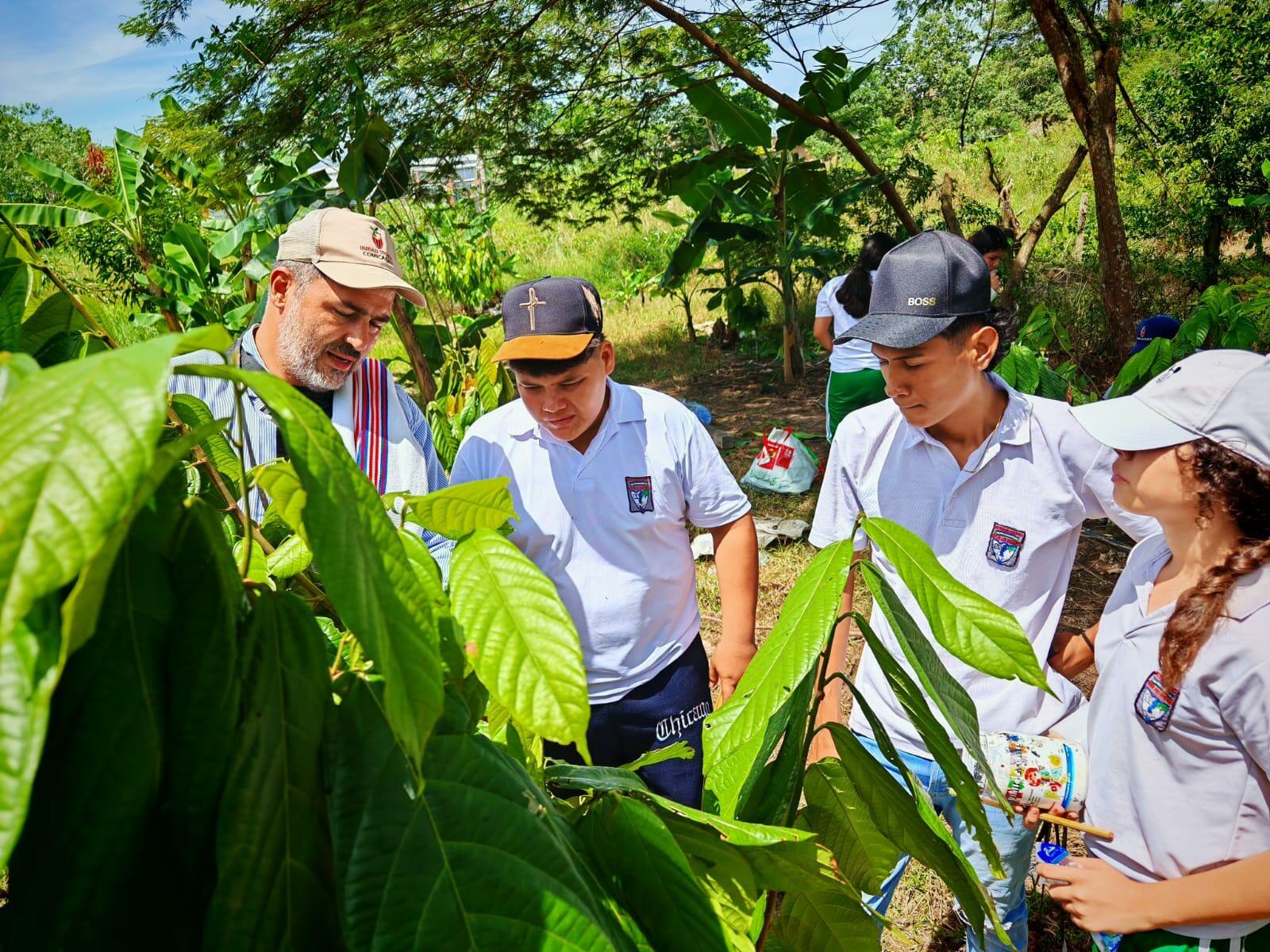 Comit&eacute; de la Cadena del Cacao del Caquet&aacute; - Una historia de crecimiento e incidencia tejida durante nueve a&ntilde;os en los bosques de la Amazon&iacute;a colombiana - 11