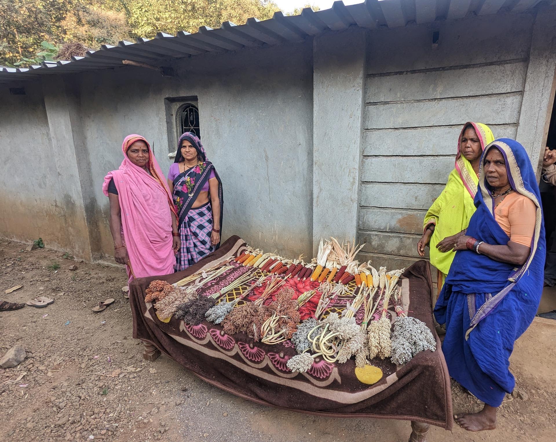 Community seed banks empower farmers and address climate risk in India - Alliance Bioversity International - CIAT