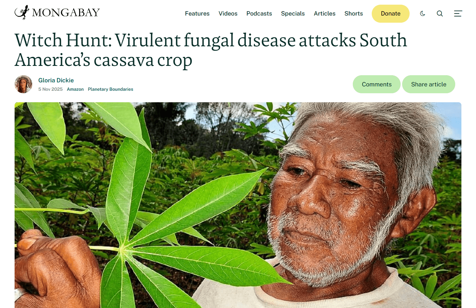 Countries join forces against Cassava Witches&rsquo; Broom Disease - Annual Report 2025 - Alliance Bioversity International - CIAT - Image 1