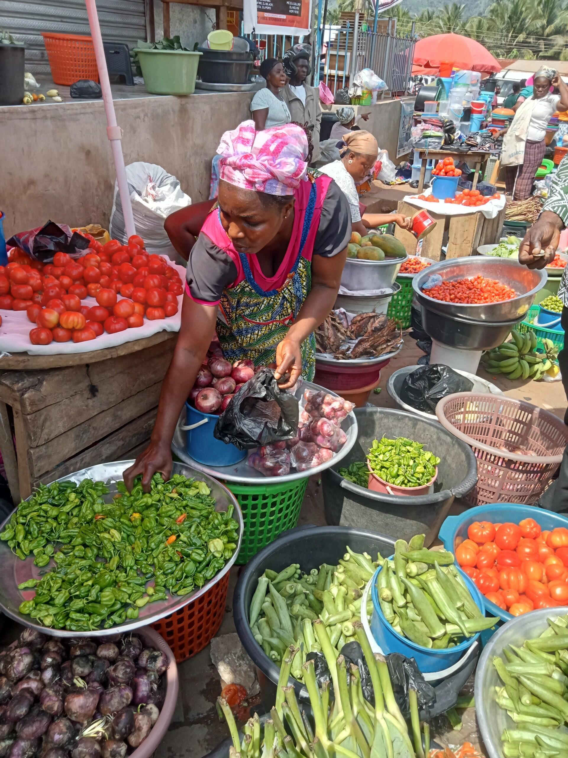 Crafting a National Agenda for Neglected and Underutilized Species in Ghana - Alliance Bioversity International - CIAT - Image 1