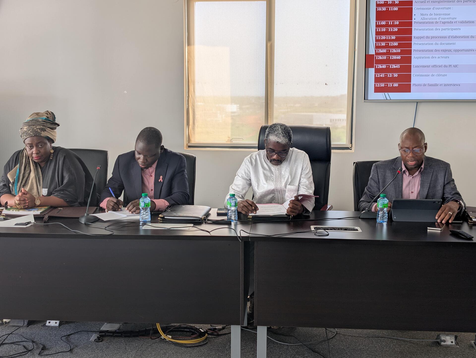 CSAIP - Senegal&rsquo;s bold gamble for a resilient, inclusive, and investable agriculture - Image 1