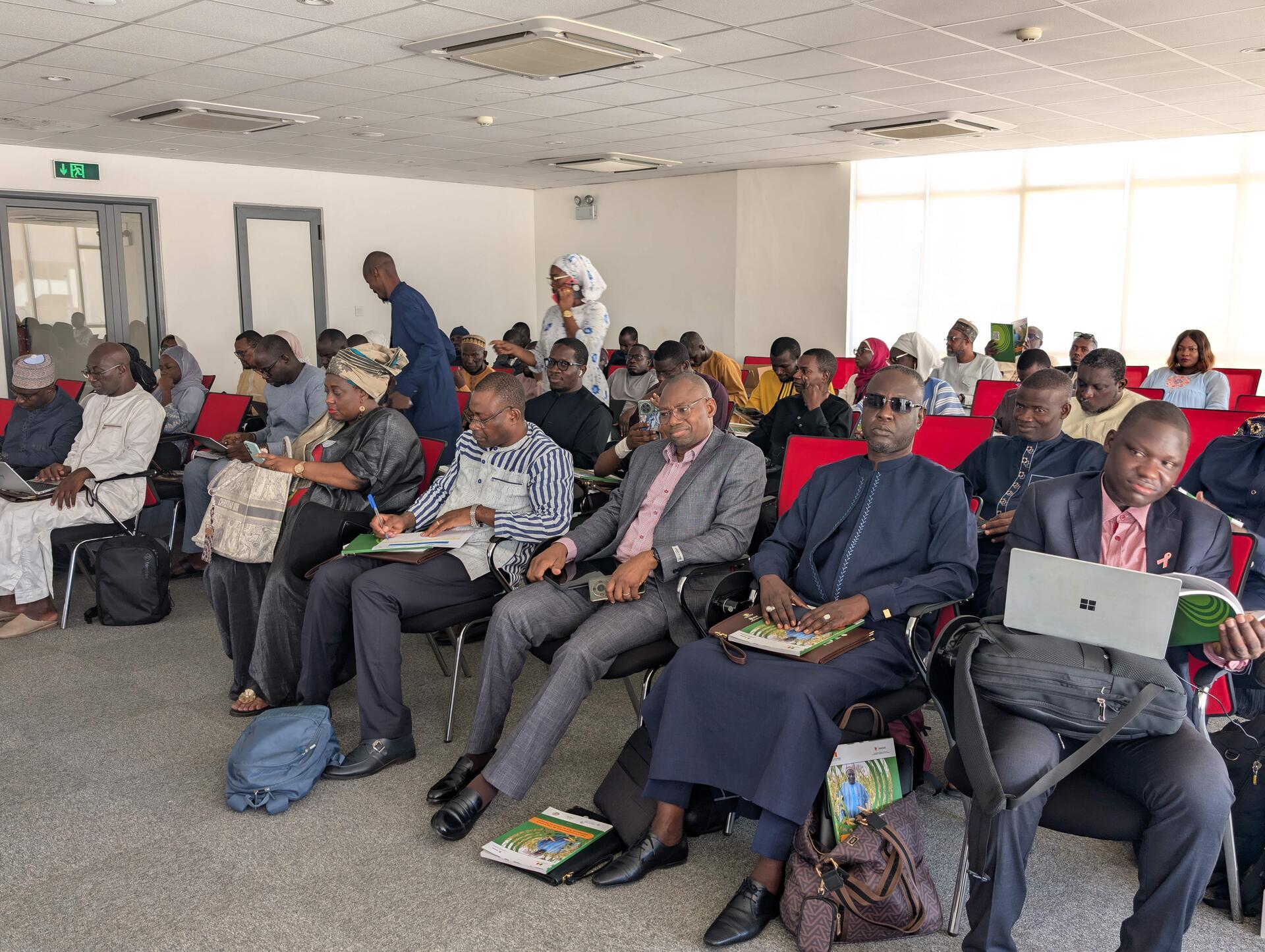 CSAIP - Senegal&rsquo;s bold gamble for a resilient, inclusive, and investable agriculture - Image 2