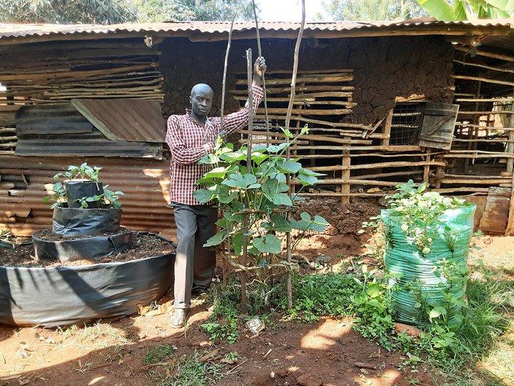 From the field: how on-farm biodiversity is transforming community livelihoods in Kenya