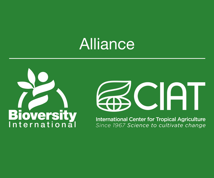 Bioversity International and CIAT continue to make exciting progress in establishing an Alliance
