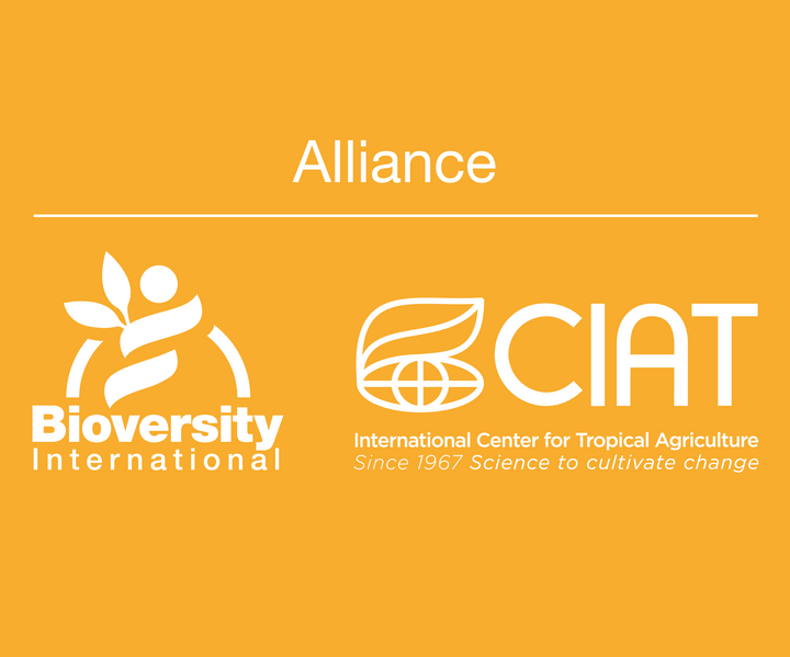 Bioversity International and CIAT implement a roadmap to make the Alliance operative