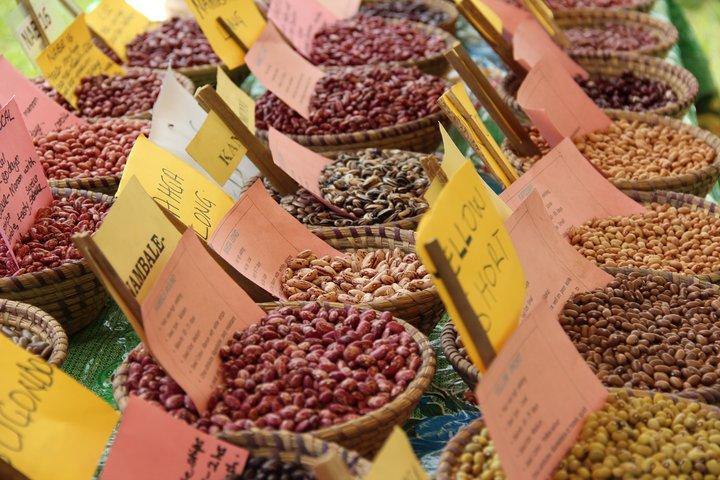 Increasing access to quality and diverse seed: A journey to the Kiziba community seedbank