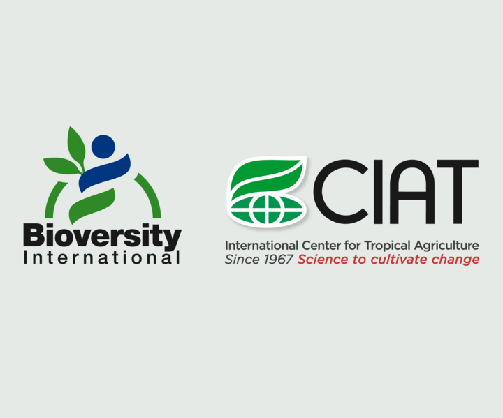 Bioversity International and CIAT explore opportunities to tackle food system challenges together