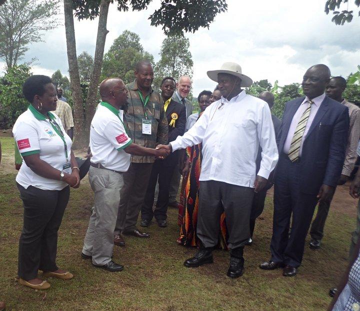 Uganda President Museveni officiates at Bioversity International Banana Farmers Day