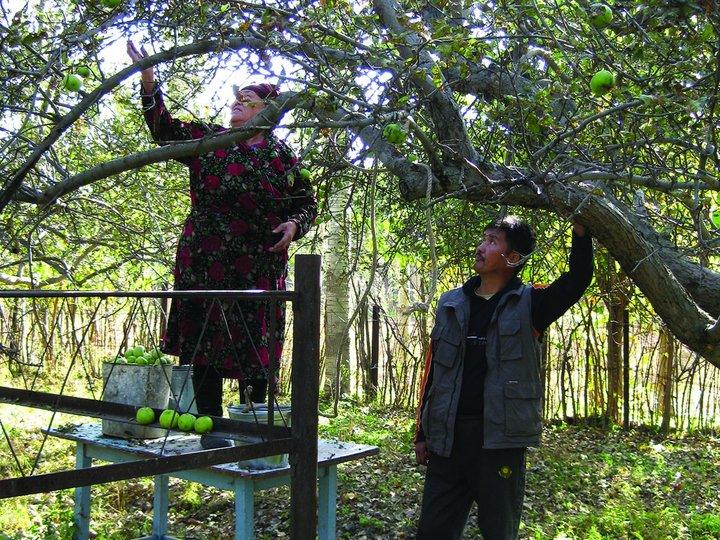 Promoting fruit tree diversity in Central Asia