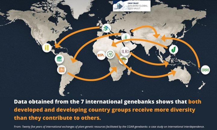 Twenty five years of international exchanges of plant genetic resources