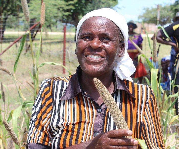 A Resilient Seed Systems Handbook to support farmers adapt to climate change