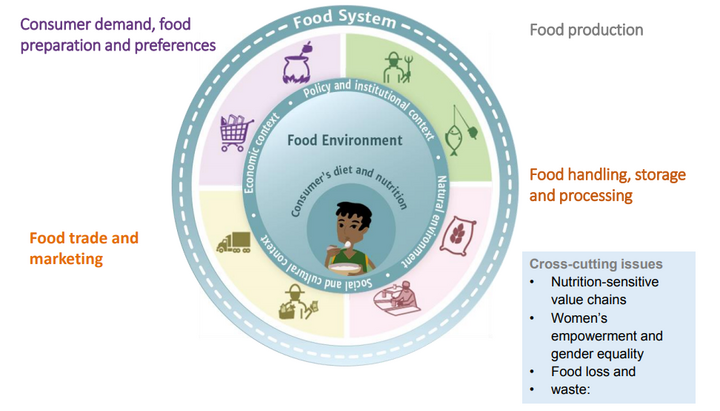 The International Union of Nutritional Sciences turns to food systems