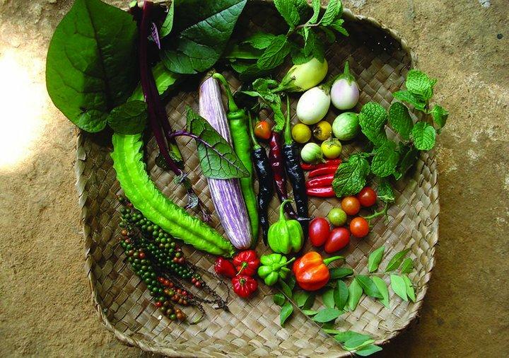 Big results from small plots: Home gardens in Nepal