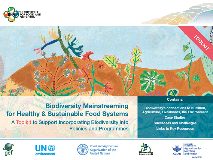 Toolkit Launch: Mainstreaming Biodiversity for Food and Nutrition