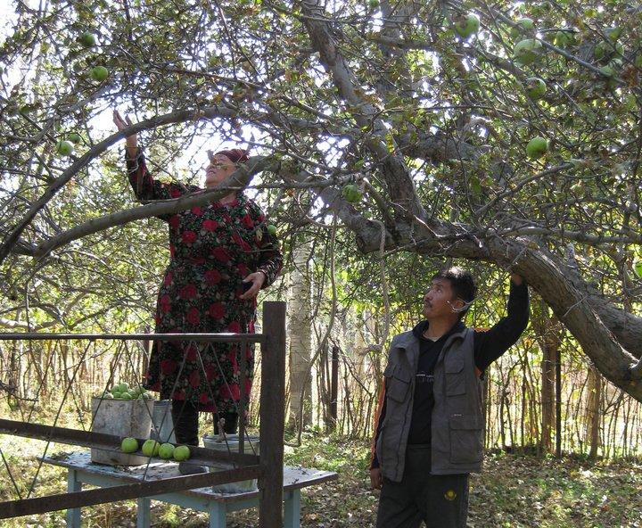 Carlo Scarpa Prize awarded to the wild apple forests of the Tien Shan