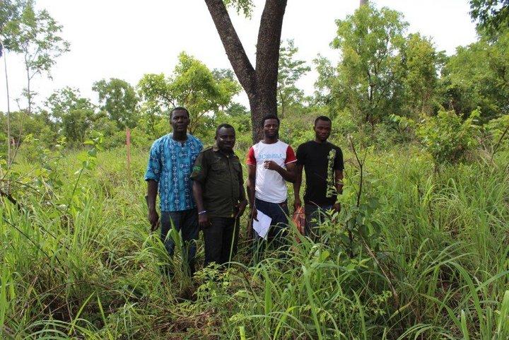 Abdou-Salam Ouédraogo Fellow to map African rosewood genetic diversity in Ghana