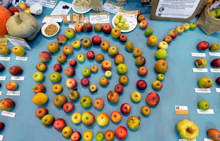 Celebrating food diversity at Terra Madre