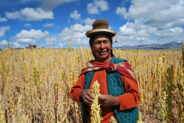 Food for thought on Andean super grains