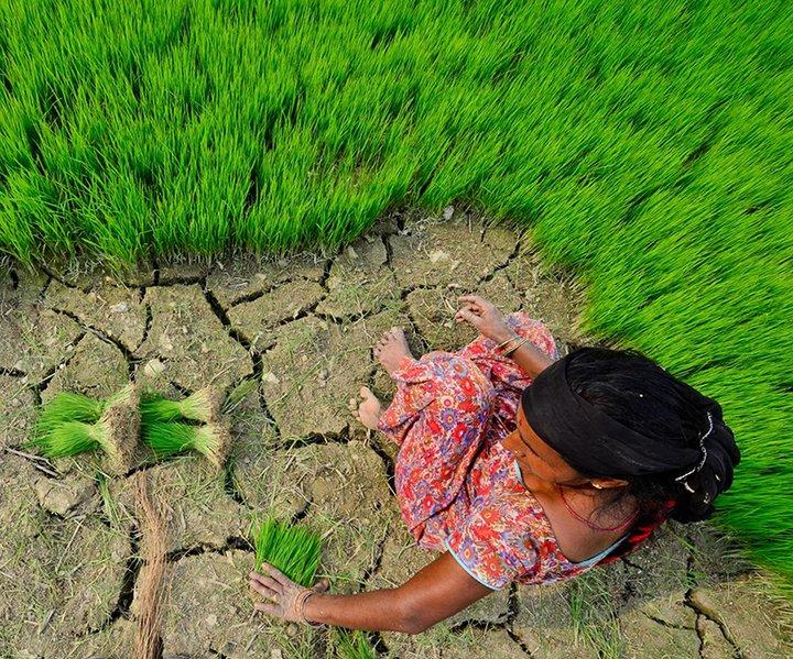 Earth Day 2020: Climate Action for resilient food systems 