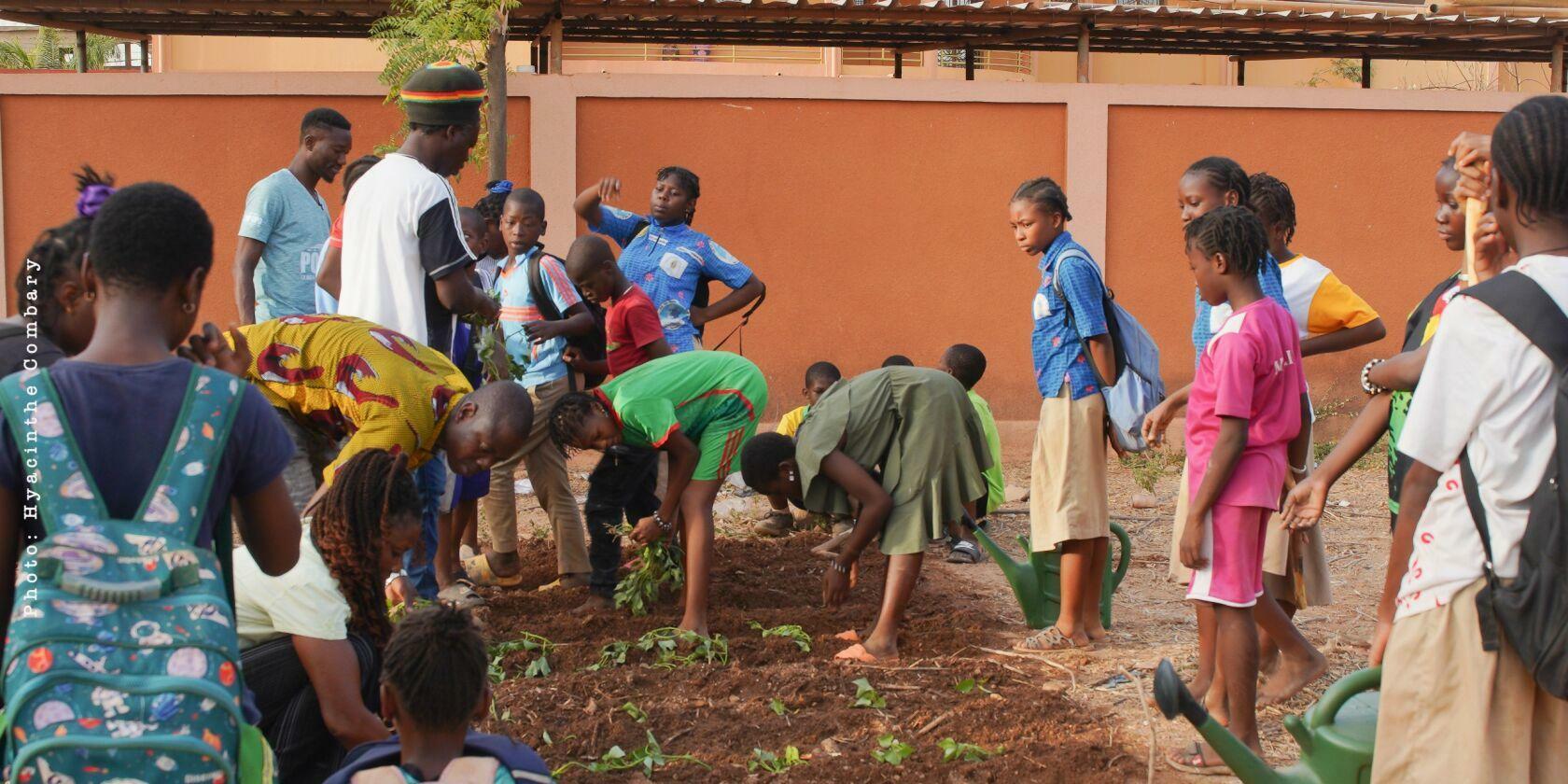 Cultivating opportunity - Revaluing traditional crops for nutrition, heritage and resilience in Africa - Image 7