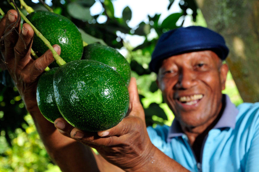 DAPA-Linking Farmers to Market’s article wins an award from Banco de la República