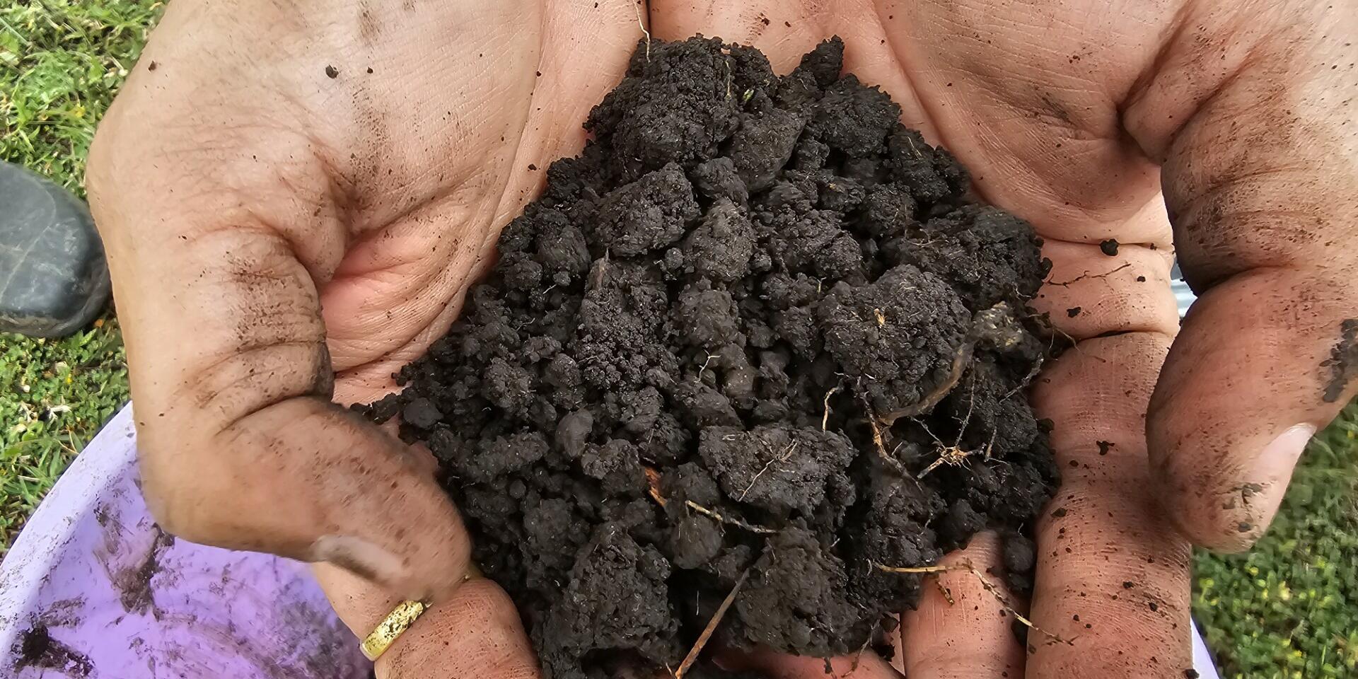 Digging deeper - How soil microbes are shaping sustainable agriculture in Kisumu and Vihiga, Kenya - Image 3