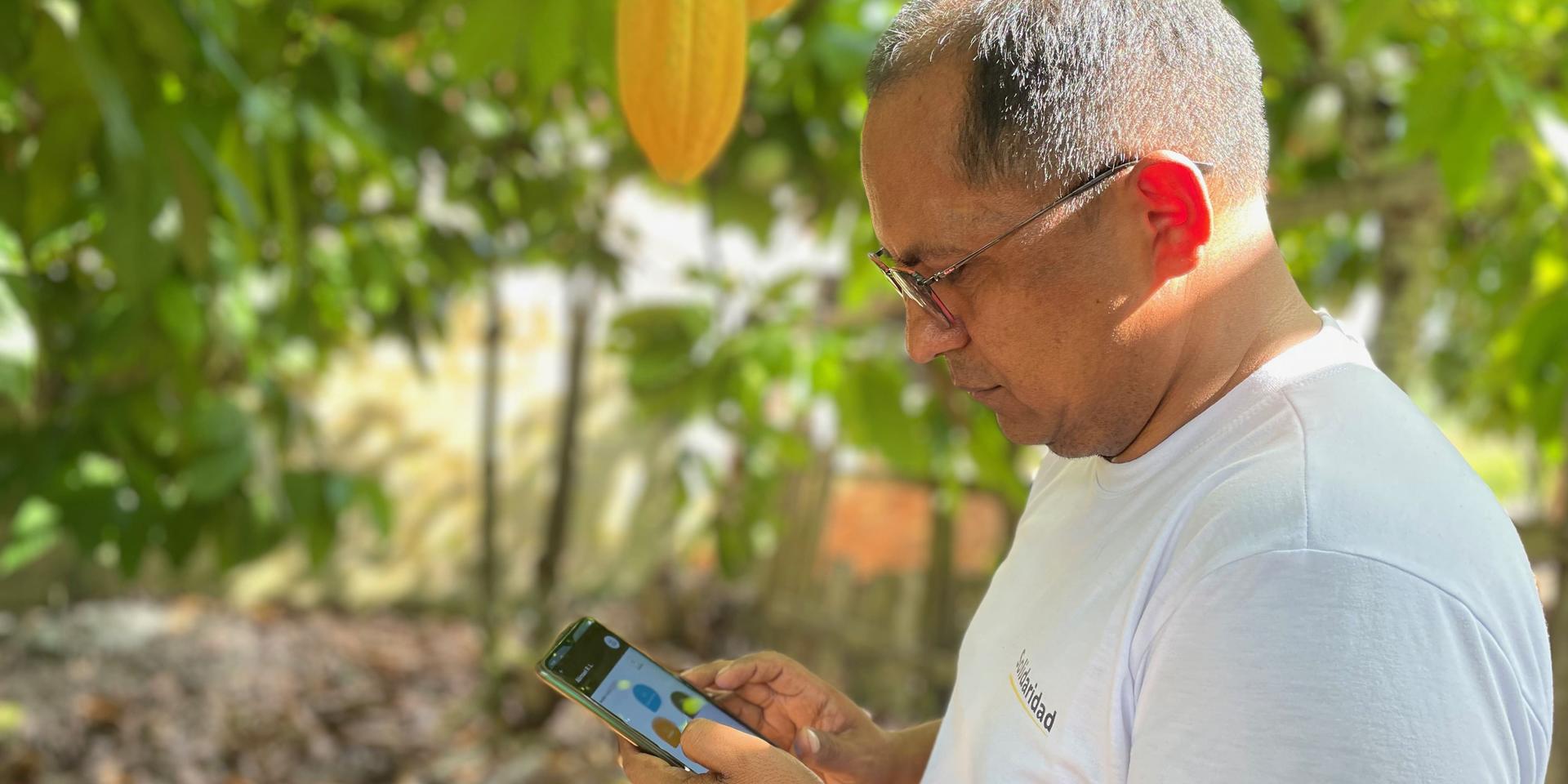 Digital Solutions to Accelerate the Transition towards Agroecological Livestock Systems in the Amazon Basin - Alliance Bioversity International - CIAT