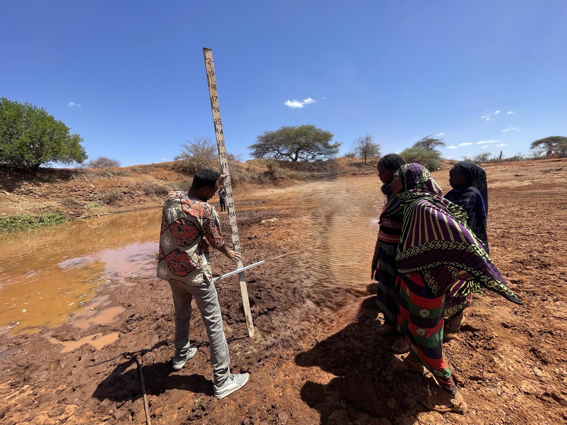 Digital system helps Ethiopia&rsquo;s pastoralist communities prepare for the unpredictable - Image 1