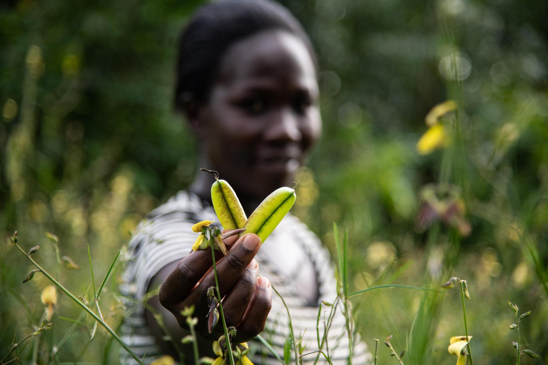 Diverse seeds show by Pauline Odera, a farmer who also runs the seedbank at Vihiga, Kenya. Credit - Alliance Bioversity International - CIAT/Georgina Smith