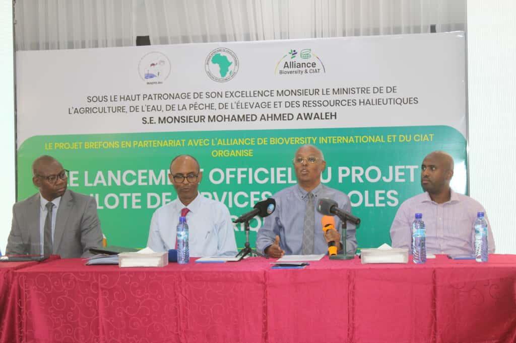 Djibouti launches pilot project and co-design workshops to bring digital advisory services to producers - Image 2