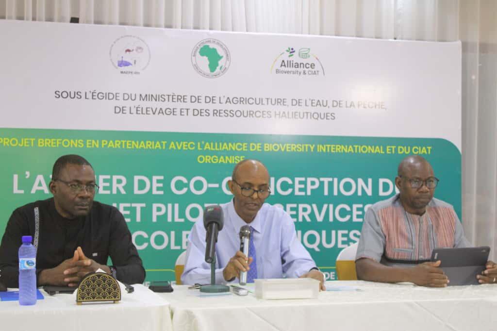 Djibouti launches pilot project and co-design workshops to bring digital advisory services to producers - Image 5