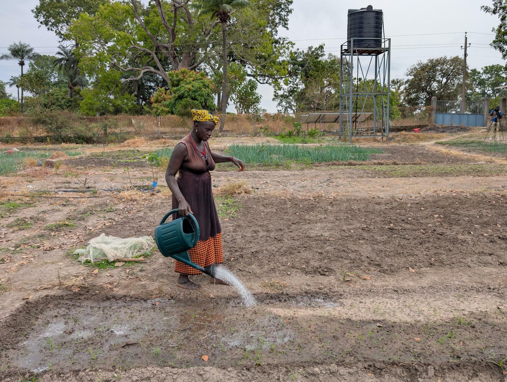 Drought and deluge How El Ni&ntilde;o could strike Africa on multiple fronts  - Image 5
