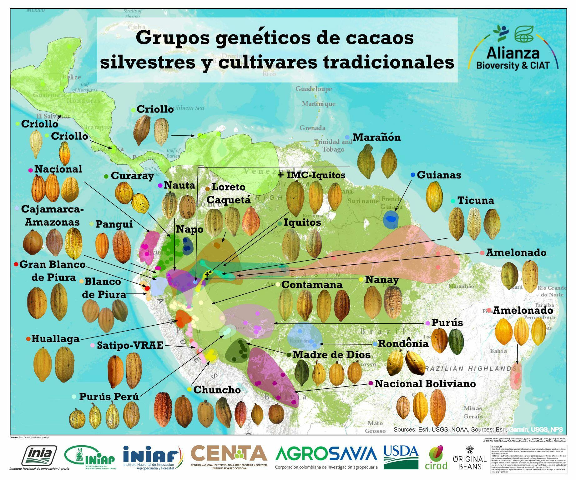 El cient&iacute;fico Evert Thomas recibe premio MIDAGRI por su aporte al cacao peruano - Alianza Bioversity International - CIAT - Mapa Cacao LAC