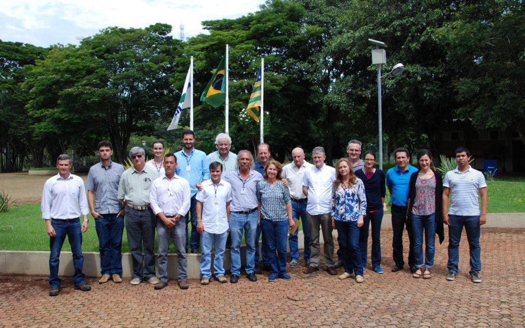 CIAT-Cirad-Embrapa rice researchers meet in Goiania to strengthen collaboration