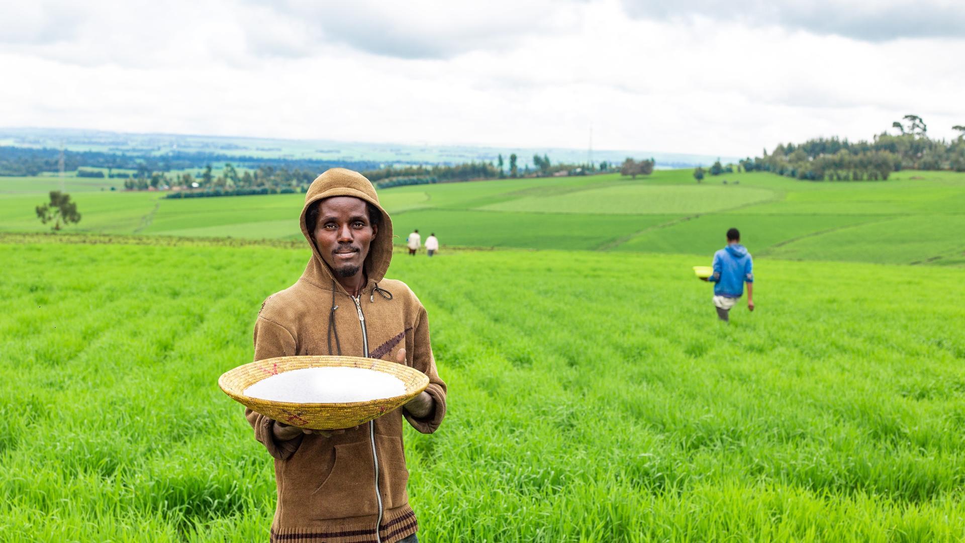 Empowering Smallholder Farmers - The Benefits of Bundling Agricultural Recommendations with Insurance - Credit and Climate Advisory Services - Alliance Bioversity International - CIAT