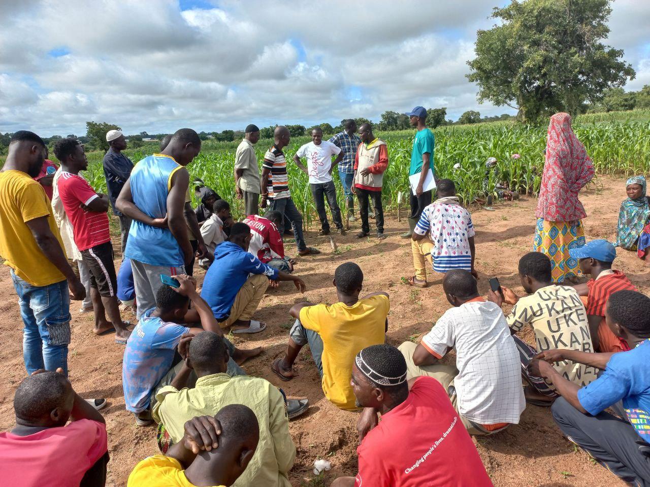 Enhancing Agricultural Resilience in Smallholder Farmers in Ghana - Alliance Bioversity International - CIAT