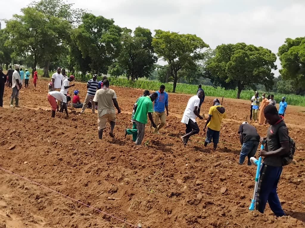 Enhancing Farmers' Resilience to Climate Change through CSA Demonstrations in Northern Ghana - Image 2