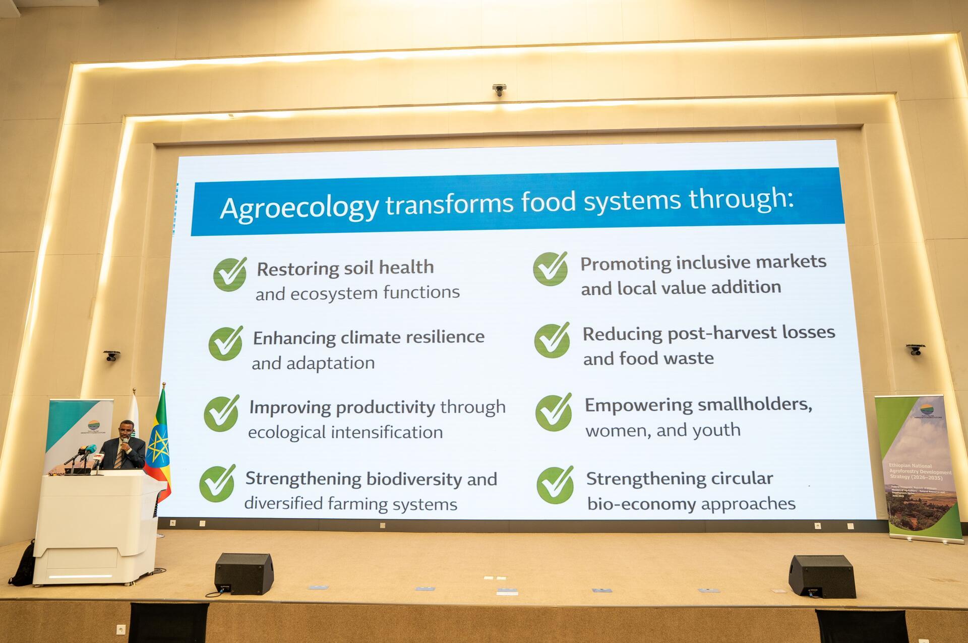Ethiopia scales up agroecology to transform its food systems - Image 1