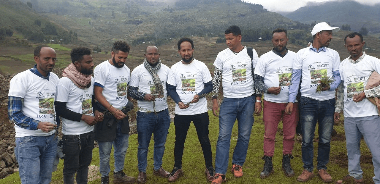 Ethiopia - When soils become a tool against climate change - Image 3