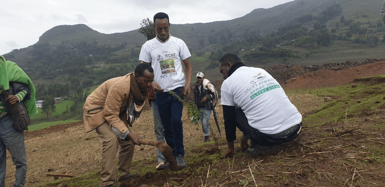 Ethiopia - When soils become a tool against climate change - Image 4