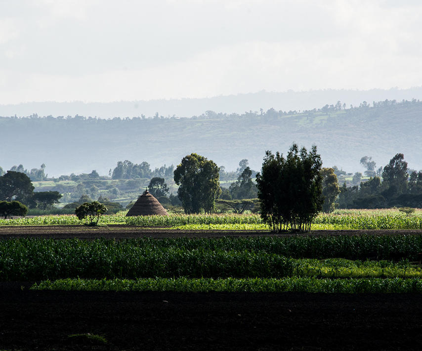ethiopian_farmland